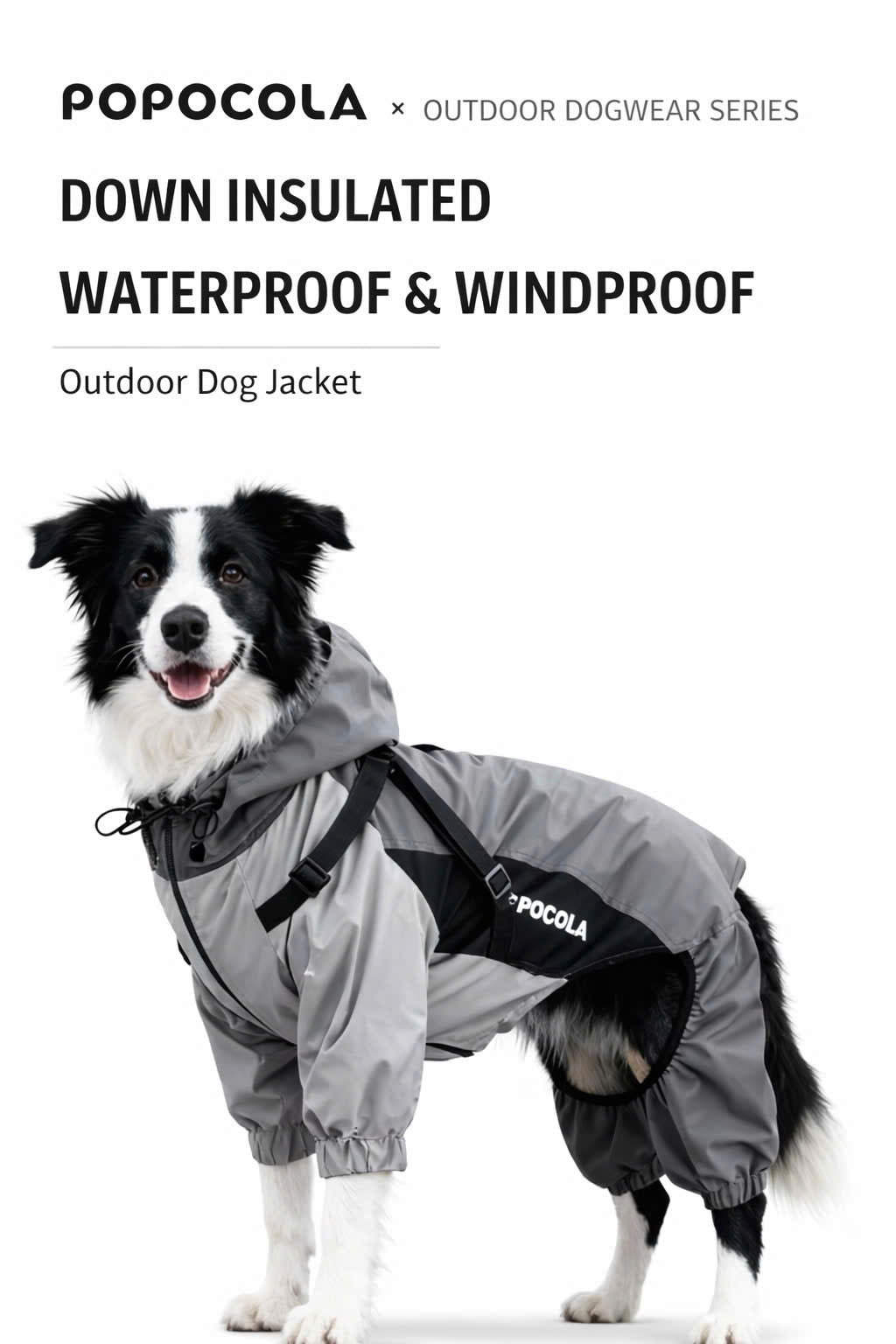 All-Weather Waterproof Dog Jacket – Lightweight & Windproof
