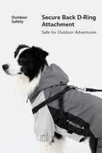 All-Weather Waterproof Dog Jacket – Lightweight & Windproof