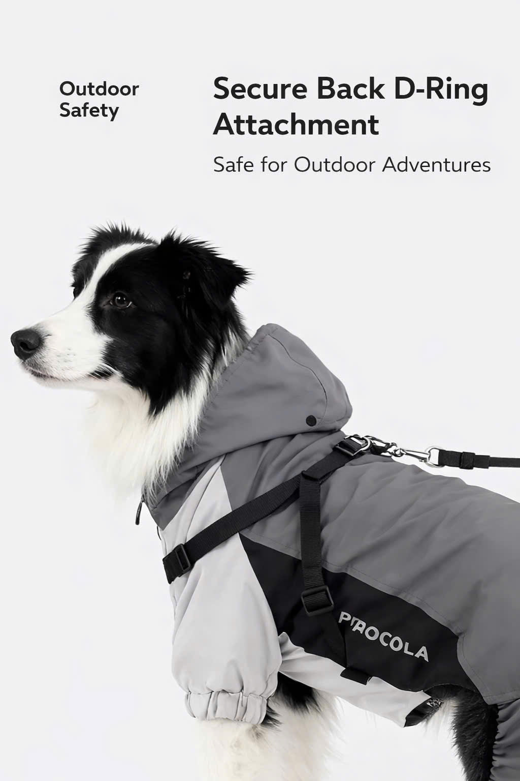 All-Weather Waterproof Dog Jacket – Lightweight & Windproof